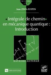 book Integrales de chemin en mechanique quantique: introduction