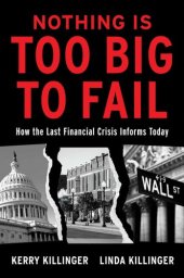 book Nothing Is Too Big to Fail: How the Last Financial Crisis Informs Today