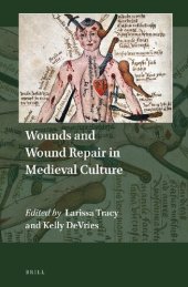 book Wounds and Repair in Medieval Culture