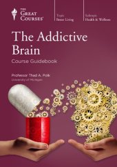 book The Addictive Brain