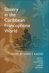 book Slavery in the Caribbean Francophone World : Distant Voices, Forgotten Acts, Forged Identities