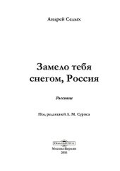 book Замело тебя снегом, Россия : рассказы