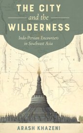 book The City and the Wilderness: Indo-Persian Encounters in Southeast Asia