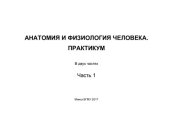 book Анатомия и физиология человека. Практикум