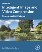 book Intelligent Image and Video Compression: Communicating Pictures