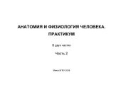 book Анатомия и физиология человека. Практикум
