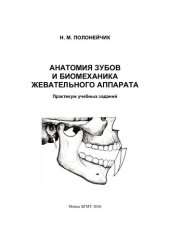 book Анатомия зубов и биомеханика жевательного аппарата