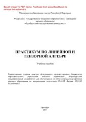 book Практикум по линейной и тензорной алгебре. Учебное пособие