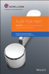 book Audit Risk Alert: General Accounting and Auditing Developments 2019/2020