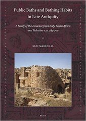 book Public Baths and Bathing Habits in Late Antiquity: A Study of the Evidence from Italy, North Africa and Palestine A.D. 285-700