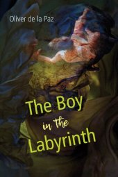 book The Boy in the Labyrinth: Poems