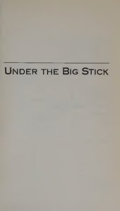 book Under the Big Stick: Nicaragua and the United States Since 1848