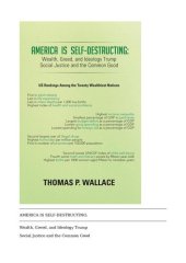 book America Is Self-Destructing: Wealth, Greed, and Ideology Trump Common Cause and Social Justice