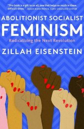 book Abolitionist Socialist Feminism: Radicalizing the Next Revolution