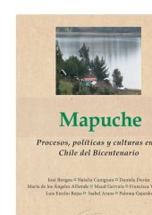 book Mapuche: Procesos, políticas y culturas en el Chile del Bicentenario