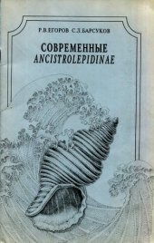 book Современные Ancistrolepidinae (Buccinidae)