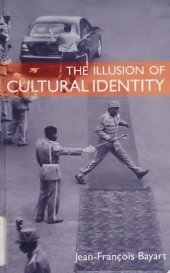 book The Illusion of Cultural Identity