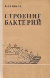 book Строение бактерий.