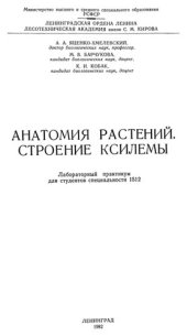 book Анатомия растений. Строение ксилемы.