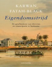 book Eigendomsstrijd: De geschiedenis van slavernij en emancipatie in Suriname