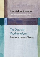 book The Desire of Psychoanalysis: Exercises in Lacanian Thinking