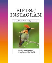 book Birds of Instagram: Extraordinary Images from Around the World