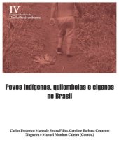 book Povos indígenas, quilombolas e ciganos no Brasil