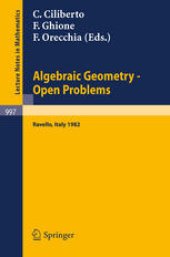 book Algebraic Geometry — Open Problems: Proceedings of the Conference Held in Ravello, May 31 – June 5, 1982