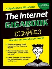 book The Internet GigaBook for Dummies