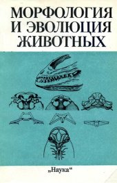 book Морфология и эволюция животных.