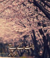 book جنت کے پتے / Jannat Kay Pattay