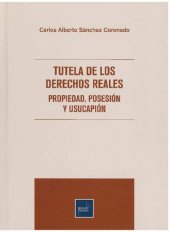 book TUTELA DE LOS DERECHOS REALES (PROPIEDAD, POSESIÓN Y USUCAPION)