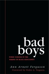 book Bad Boys (Law, Meaning, And Violence)