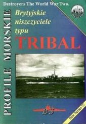 book Brytyjiskie niszczyciele typu Tribal