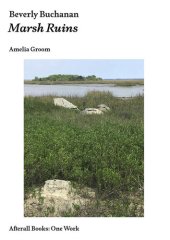 book Beverly Buchanan: Marsh Ruins (Afterall Books / One Work)