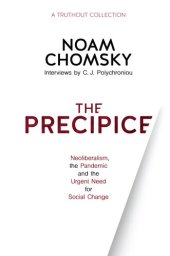 book The Precipice: Neoliberalism, the Pandemic and the Urgent Need for Social Change