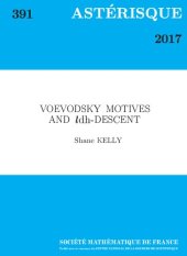 book Voevodsky Motives and ldh-descent