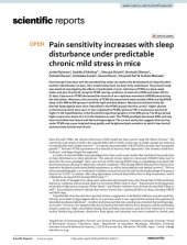 book Pain sensitivity increases with sleep disturbance under predictable chronic mild stress in mice