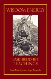 book Wisdom Energy: Basic Buddhist Teachings