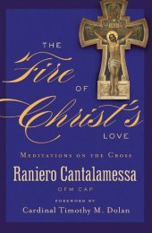 book The Fire of Christ's Love: Meditations on the Cross