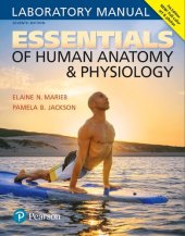 book Essentials of human anatomy & physiology