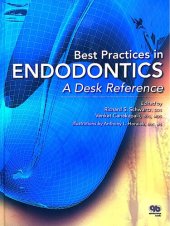 book Best Practices in Endodontics: A Desk Reference