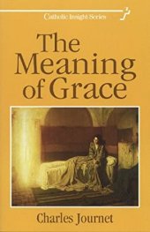 book The Meaning of Grace