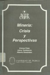 book Minería: Crisis y permanencia