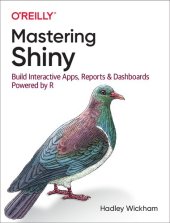 book Mastering Shiny: Build Interactive Apps, Reports, and Dashboards Powered by R