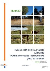 book Plan Estratégico Institucional (PEI) 2019-2024. Evaluación de resultados año 2020