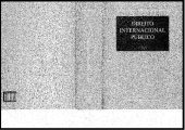 book Direito internacional público : formação do direito, sujeitos, relações diplomáticas e consulares, responsabilidade, resolução de conflitos, manutenção da paz, espaços internacionais, relações económicas, ambiente