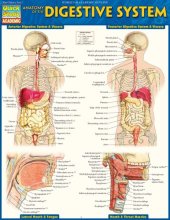 book Anatomy of the Digestive System (Quick Study Academic)