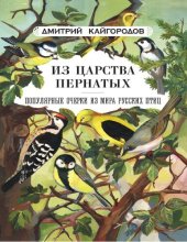 book Из царства пернатых: Популярные очерки из мира русских птиц