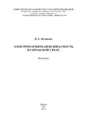 book Электромагнитная безопасность в городской среде. Монография